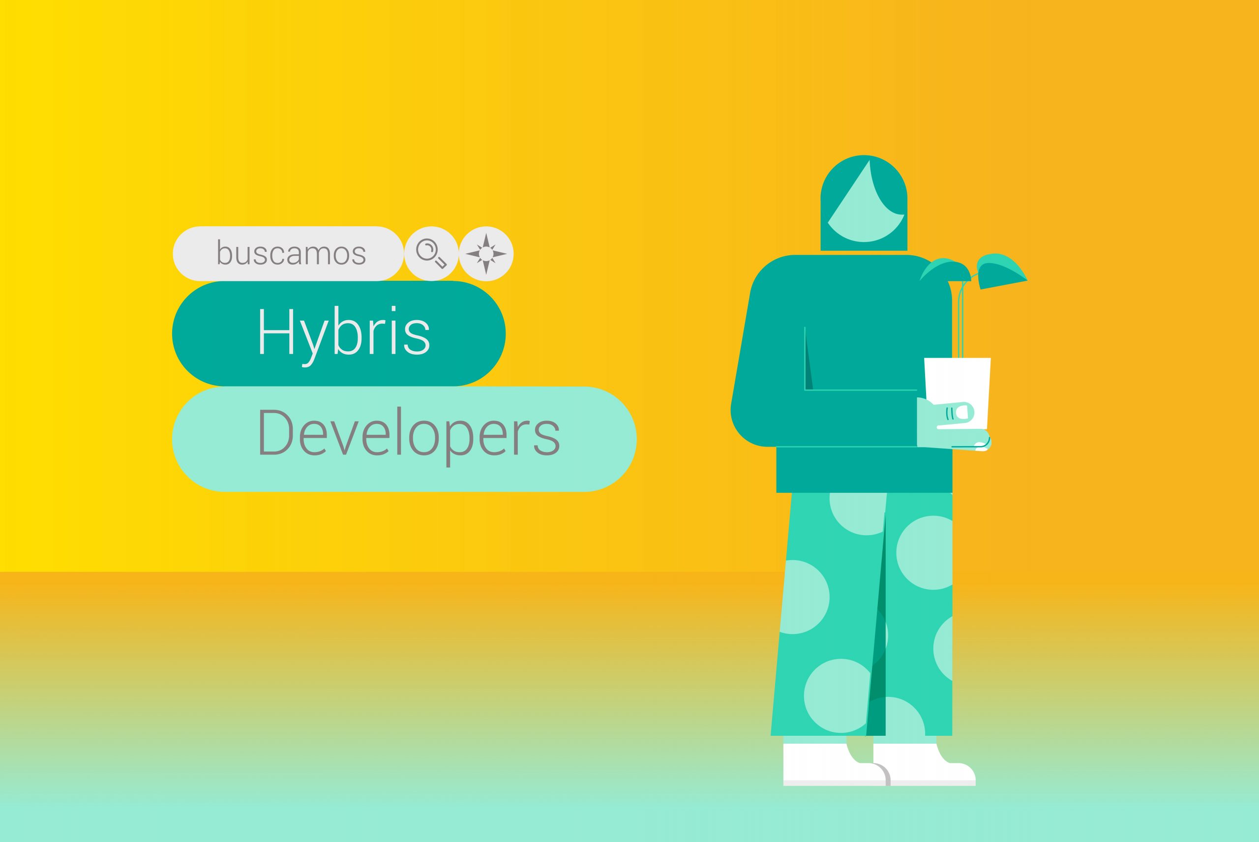 Hybris Developers