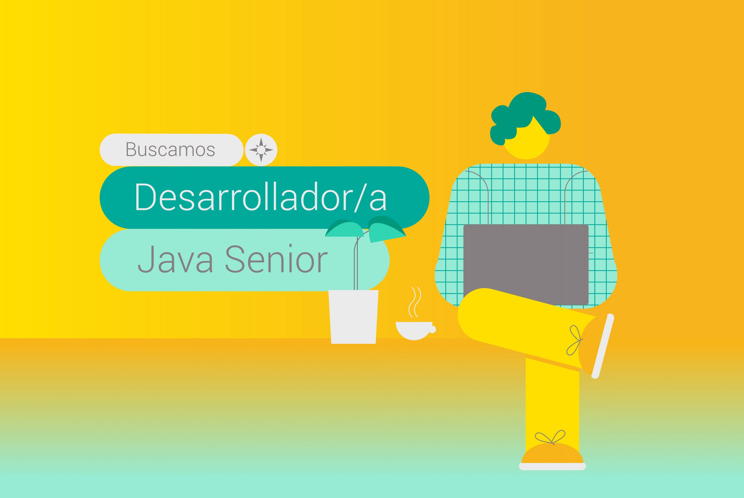 Desarrollador Java Senior