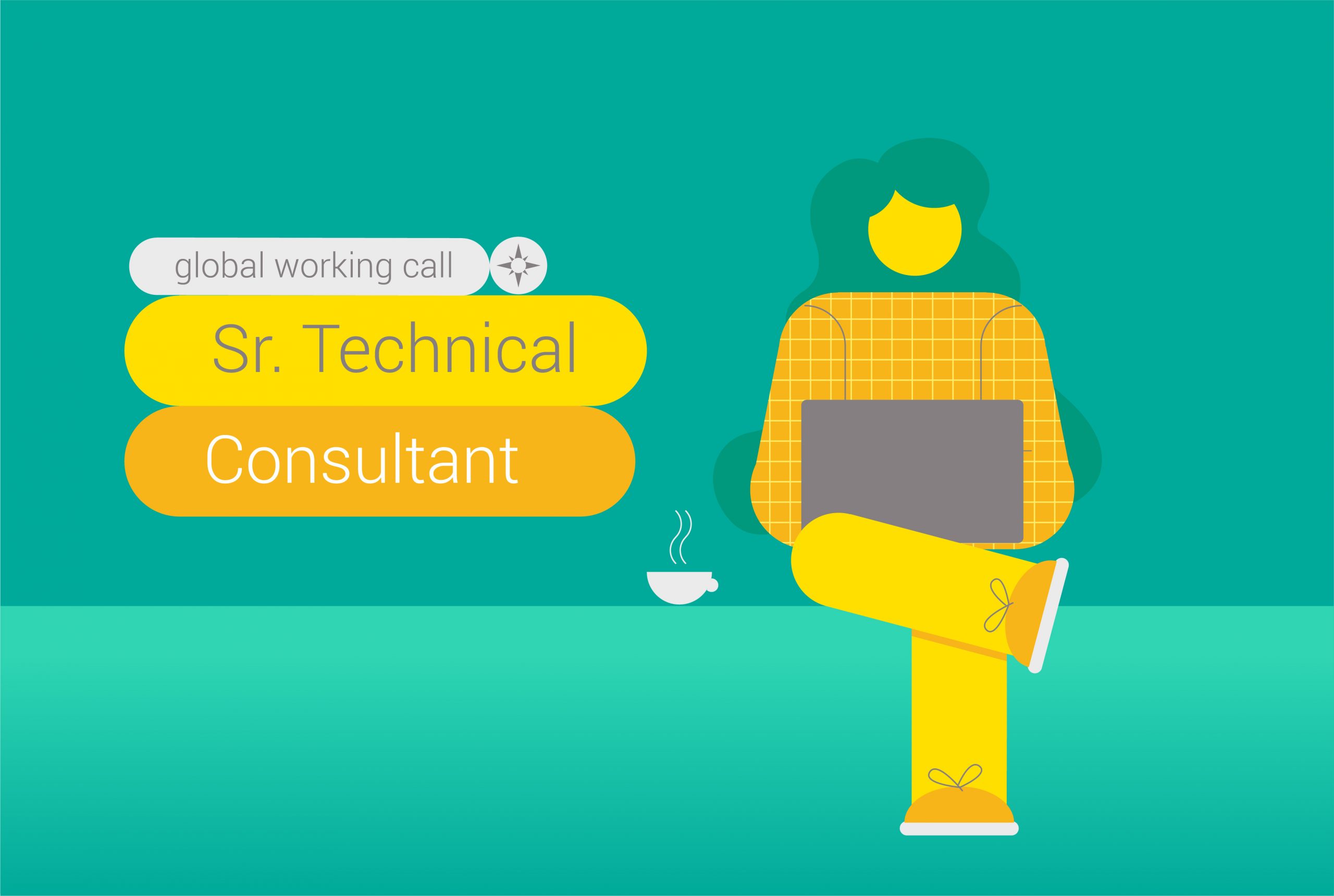 Sr. Technical Consultant